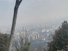 -杭州半山国家森林公园