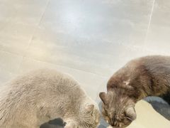 -乐果甜心·潮汕冰室(南澳后宅分店)