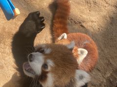 -石家庄市动物园