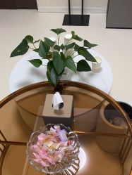 -薇兰专业脱毛连锁机构