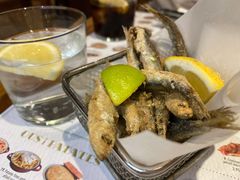 -Tapa Tapa