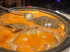 -潇湘甲鱼村(清河店)