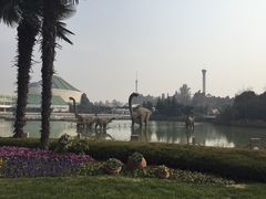 -中华恐龙园