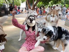 -TrueLove @ Neverland (Husky Cafe)
