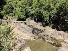 -广州白江湖森林公园