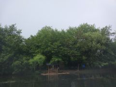 -杭州双溪漂流景区