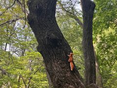 -终南山南五台景区