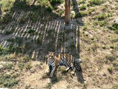 -西霞口神雕山野生动物世界