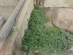 -苏州上方山国家森林公园