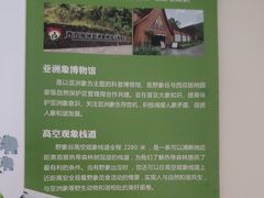 -野象谷景区