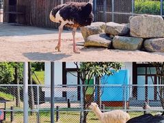 -上方山森林动物世界
