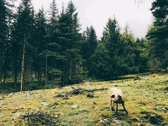 -硗碛藏寨·神木垒景区