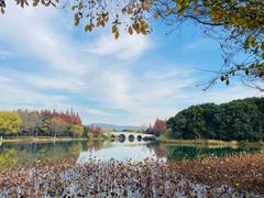 -尚湖风景区