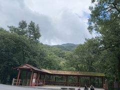 -内乡宝天曼生态旅游区