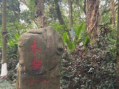 -广西壮族自治区药用植物园