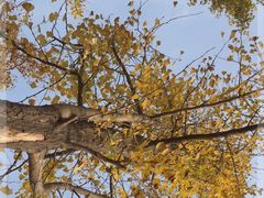 -渭河城市绿地运动公园