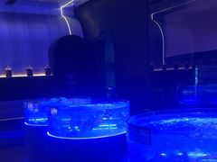 -豹豹私房火锅(侨城坊店)