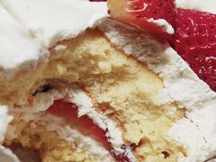 -喜杨洋草莓采摘园