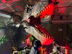 -恐龙探索乐园(磁器口店)