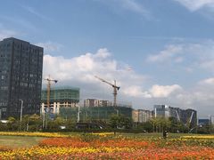 -映月湖中央公园