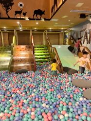 -卡通尼·Safari非洲探索乐园·生日会(金桥国际商业广场店)