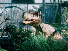 -国家植物园南园