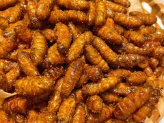 -顺德了能馆(虎门店)