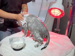 -FAELING PETS美天灵宠物(合生汇店)