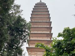 -洛阳白马寺