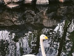 -北京动物园