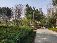 -重庆彩云湖湿地公园