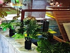 -青水瓦台汤泉(未央店)