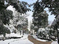 -天目湖涵田半山温泉