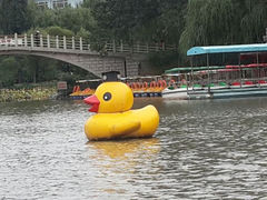 android_upload_pic-紫竹院公园冰场