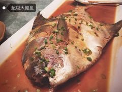 浩运海鲜酒店-浩运·海鲜青岛菜·海胆水饺(石老人店)