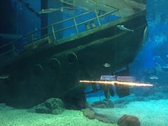 -福州罗源湾海洋世界旅游区