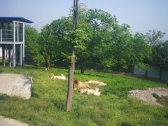 -西安秦岭野生动物园