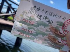 -荷塘月色湿地公园·向阳花洲