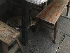 -小河无名面馆