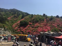 -木兰云雾山