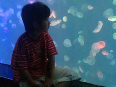 -烟台海昌鲸鲨海洋公园