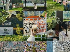 -砂之船奥莱(南京江宁店)