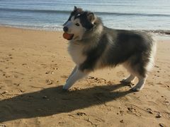 -东戴河风景区-止锚湾