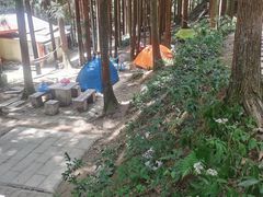 -山王坪喀斯特国家生态公园
