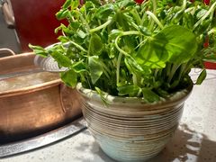 -牛村来人潮汕牛肉火锅(西单店)