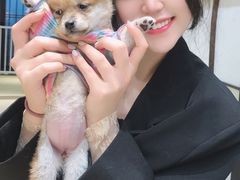 -逗柴咖啡屋·狗咖猫咖宠物桌游