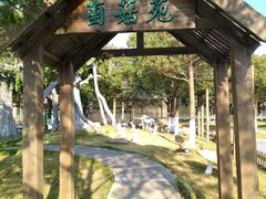 -上海都市菜园