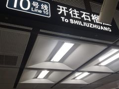 -宋家庄(地铁站)