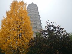-法门文化景区