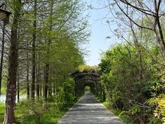 -苏州太湖国家湿地公园